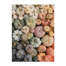 Galison Puzzle Decorative Pumpkins 1000 pieces