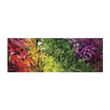 Galison Puzzle Panorama Lively Garden 1000 pieces