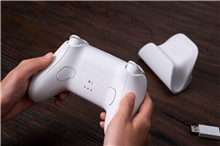 8BitDo Ultimate 2.4G Pad PC Hall Ed - White