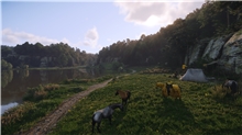 Kingdom Come: Deliverance II - Collectors Edition (XSX)