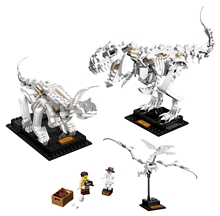 LEGO® Ideas 21320: Dinosaur Fossils