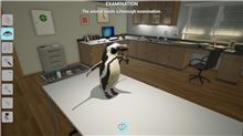 My Vet Practice in the Zoo (SWITCH)