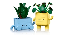 LEGO® Botanicals 10349: Happy Plants
