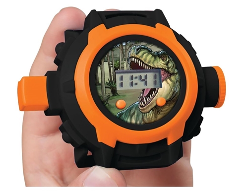 Dinosaur Projector Watch