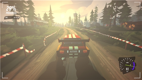 DRIVE Rally - Special Edition (SWITCH)