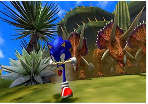 Sonic and the Secret Rings (Wii)