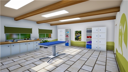 Sophias Animal Clinic (PS5)
