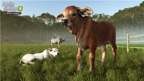 Farming Simulator 25 Beans & Alpacas Edition (PS5)